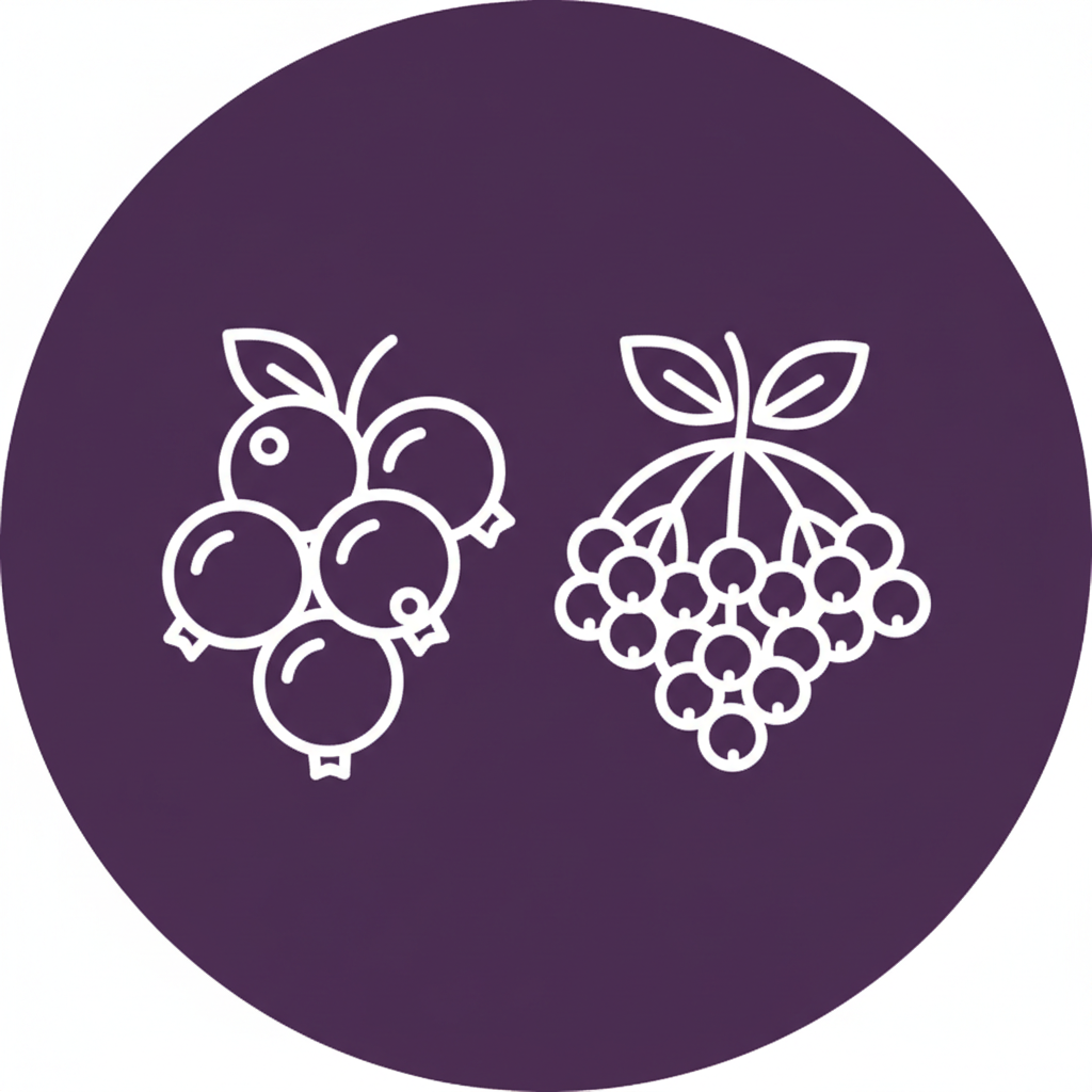 Blackcurrant & Elderberry Icon